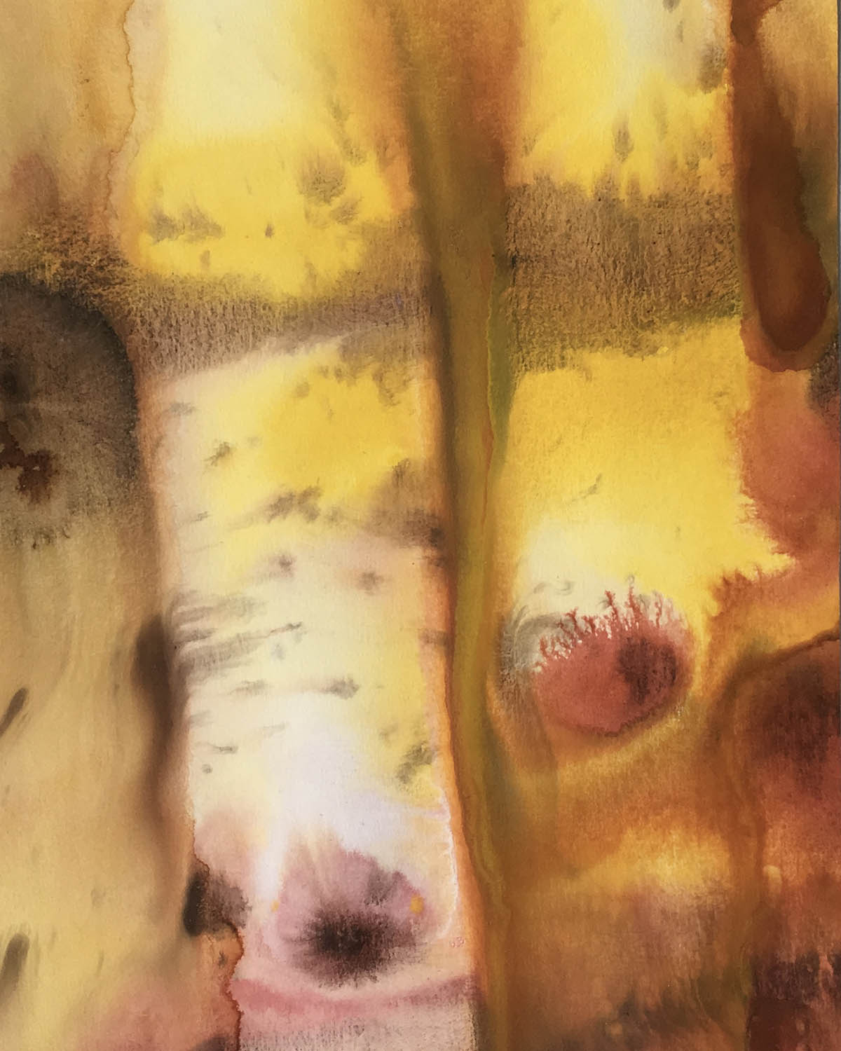 Œuvre de Claudia Maniscalco Œuvre de Claudia Maniscalco