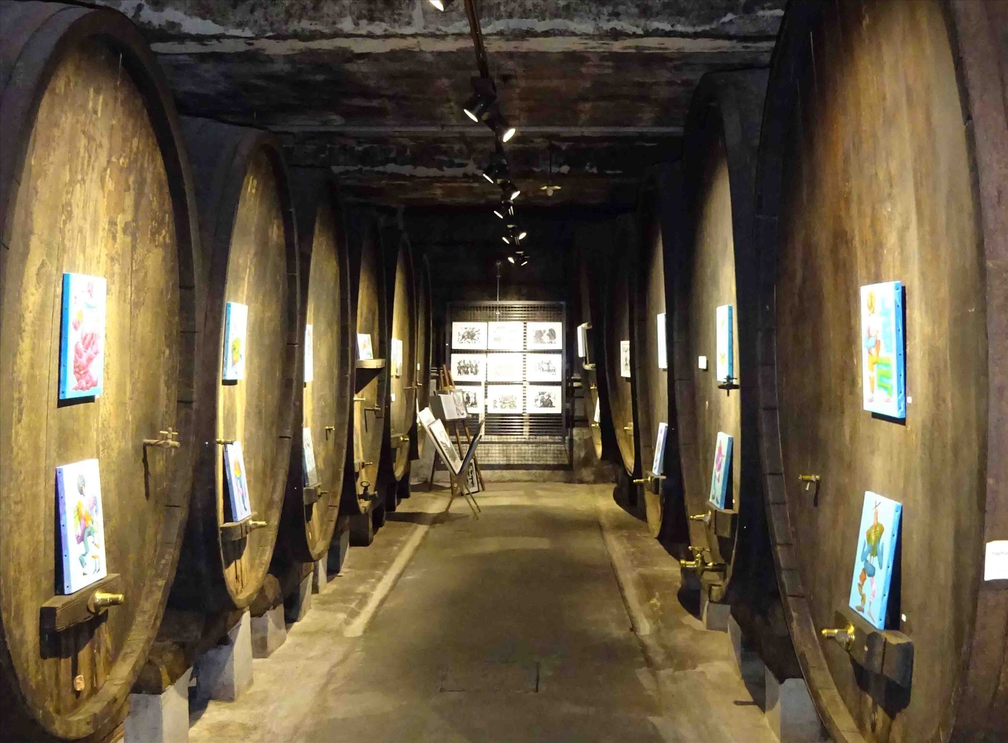 Le chai à barriques de la galerie, œuvres accrochées entre les tonneaux